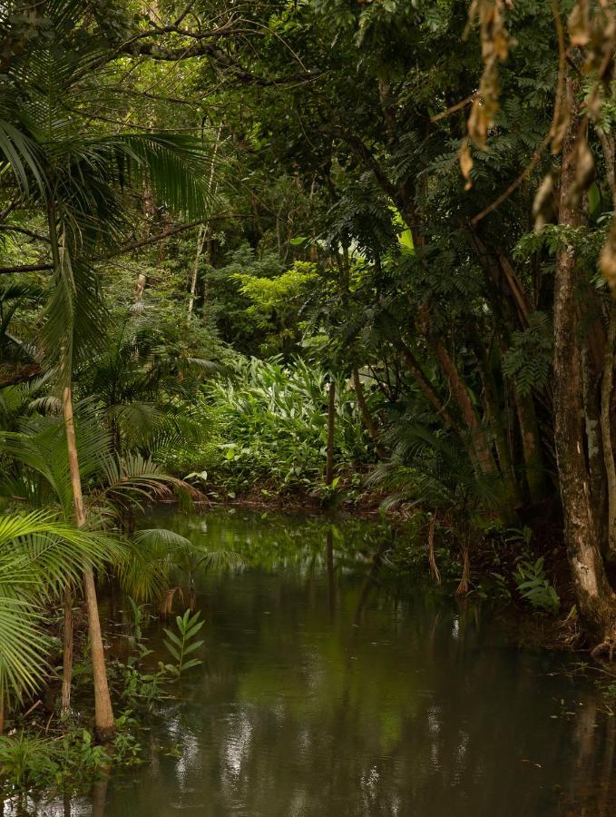 Chale Canadense Com Hidromassagem Pousada Indios Koroados Villa Praia Grande  Luaran gambar